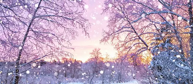 Horoskop na  Poniedziałek 22 Grudzień 2025