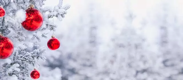 Horoskop na  Wtorek 23 Grudzień 2025